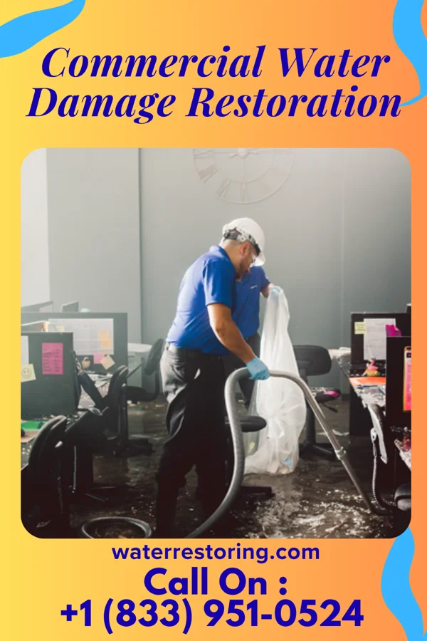 Commercial Water Damage Restoration in Brown City, MI