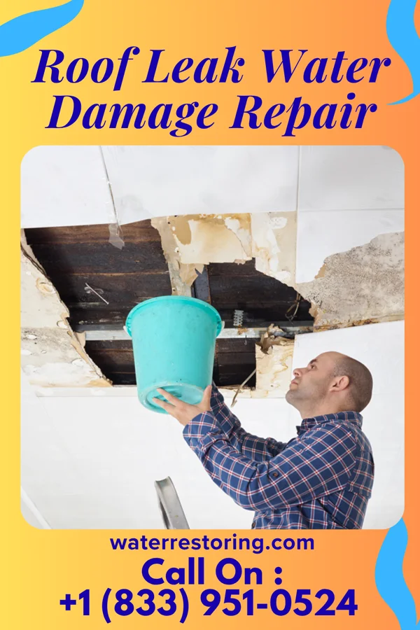 Roof Leak Water Damage Repair in Brown City, MI